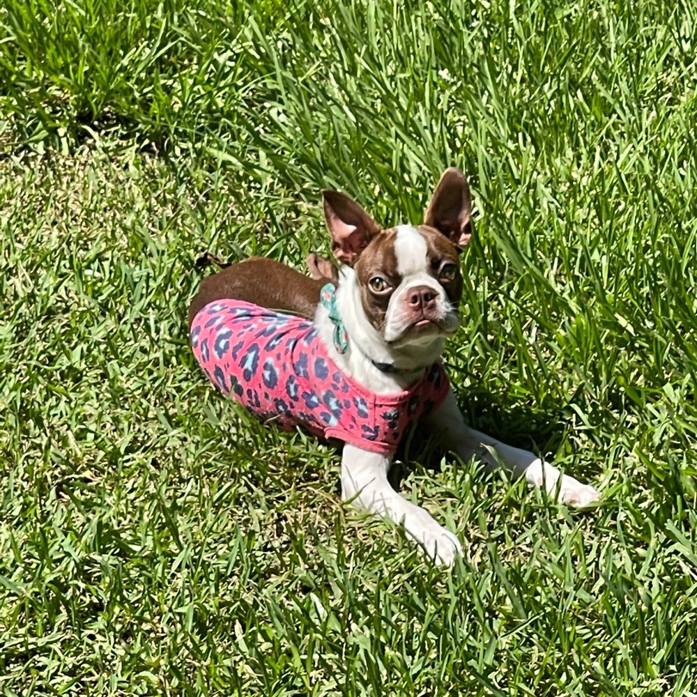 Meet your Posher, Connie